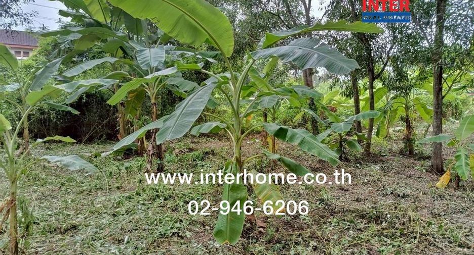 For sale land in Khlong Sam Wa, Bangkok