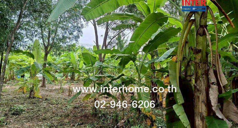 For sale land in Khlong Sam Wa, Bangkok