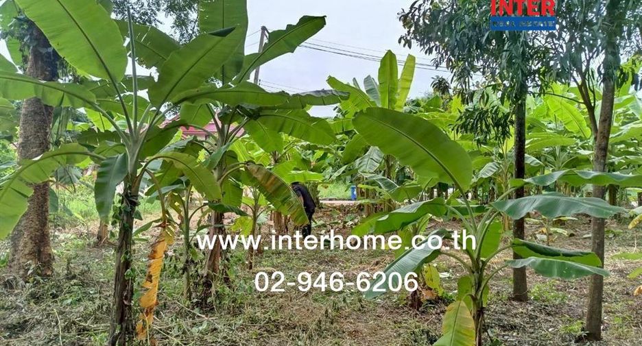 For sale land in Khlong Sam Wa, Bangkok