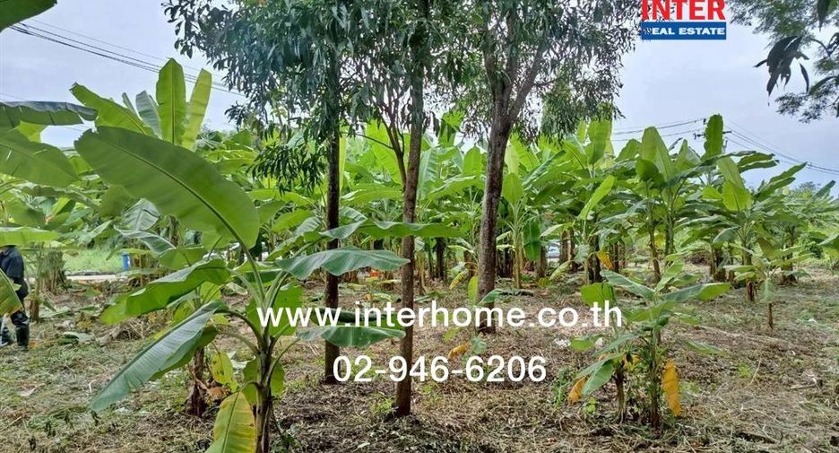 For sale land in Khlong Sam Wa, Bangkok