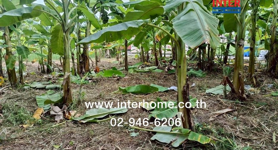 For sale land in Khlong Sam Wa, Bangkok