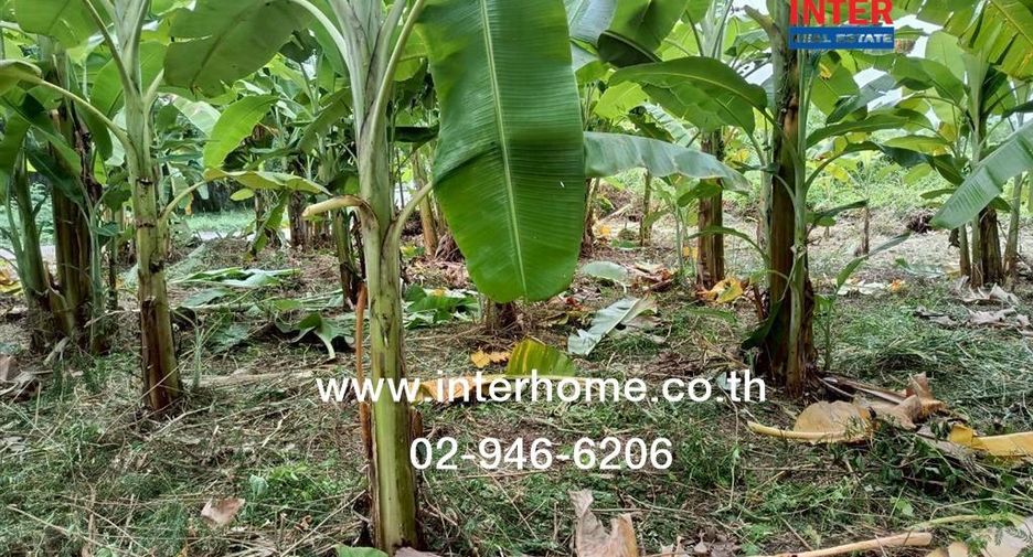 For sale land in Khlong Sam Wa, Bangkok