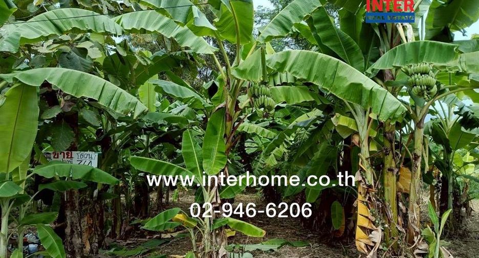 For sale land in Khlong Sam Wa, Bangkok