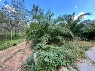 出售 土地 在 Mueang Krabi, Krabi
