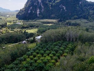 出售 土地 在 Mueang Krabi, Krabi