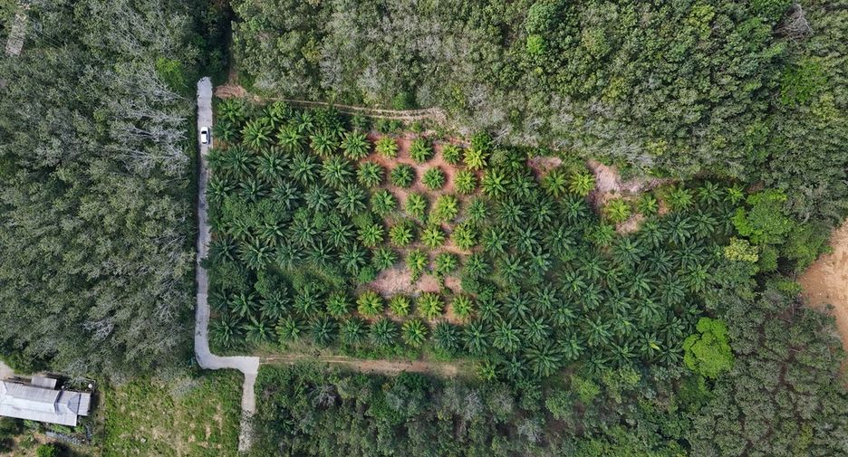 Grundstück zum Kauf in Mueang Krabi, Krabi
