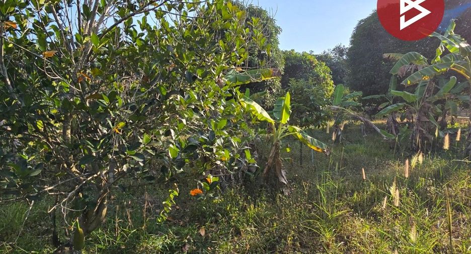 For sale land in Klaeng, Rayong