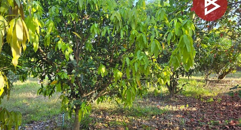 For sale land in Klaeng, Rayong