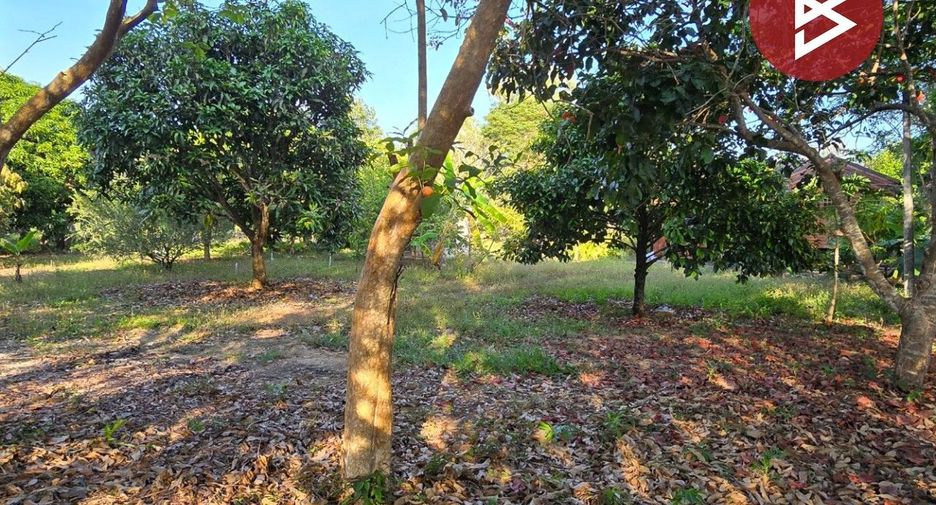 For sale land in Klaeng, Rayong