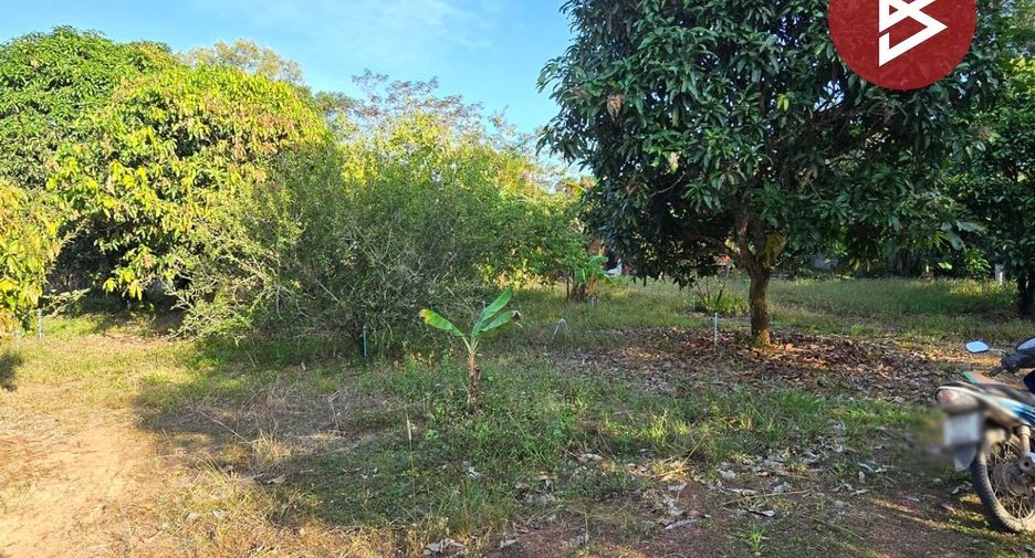For sale land in Klaeng, Rayong