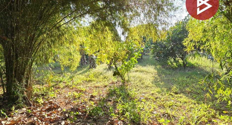 For sale land in Klaeng, Rayong