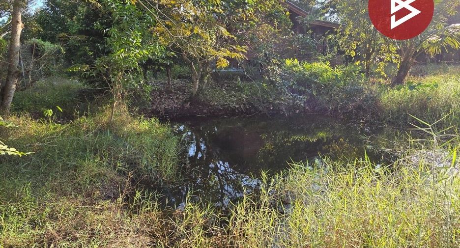 For sale land in Klaeng, Rayong