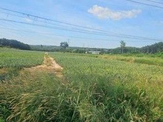 出售 土地 在 Ban Khai, Rayong