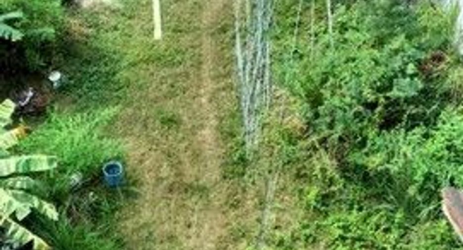 For sale land in Phrom Khiri, Nakhon Si Thammarat