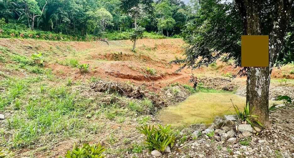 ขาย ที่ดิน ใน ตะกั่วทุ่ง, พังงา
