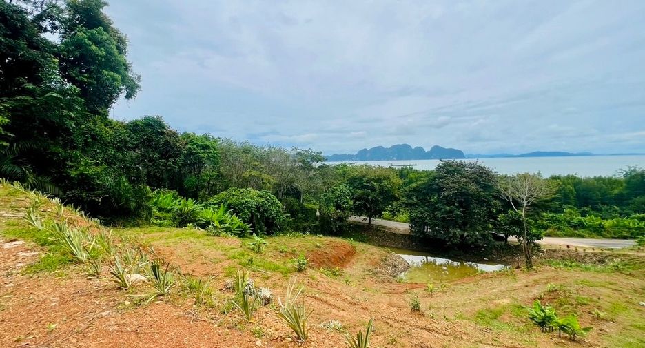 ขาย ที่ดิน ใน ตะกั่วทุ่ง, พังงา