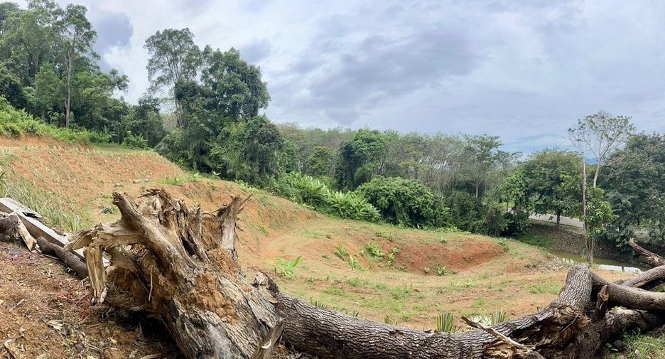 ขาย ที่ดิน ใน ตะกั่วทุ่ง, พังงา