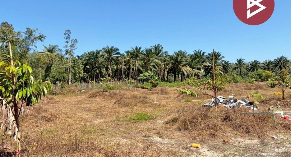 Продажа Участок в Sichon, Nakhon Si Thammarat