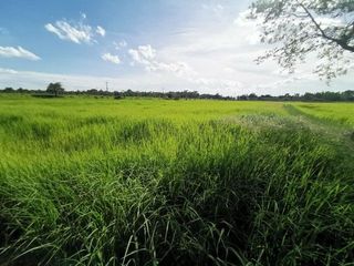 出售 土地 在 Mueang Maha Sarakham, Maha Sarakham