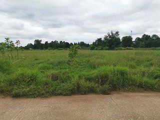ขาย ที่ดิน ใน โชคชัย, นครราชสีมา