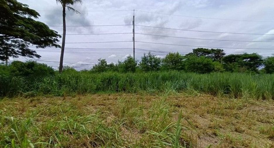 For sale land in Chok Chai, Nakhon Ratchasima