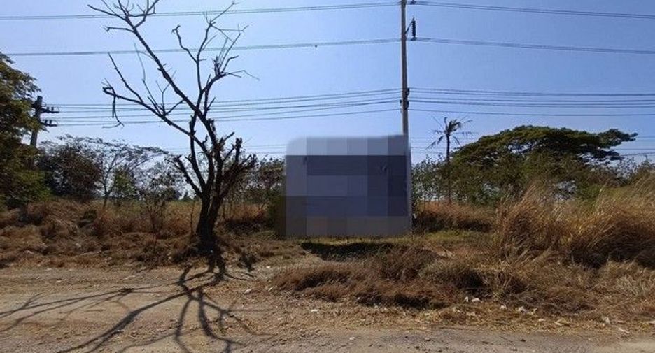 For sale land in Chok Chai, Nakhon Ratchasima