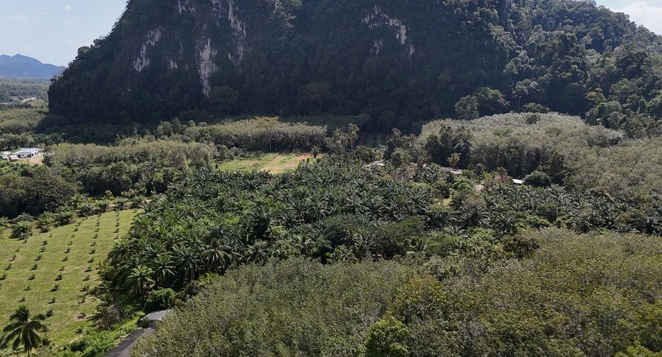 Grundstück zum Kauf in Mueang Krabi, Krabi