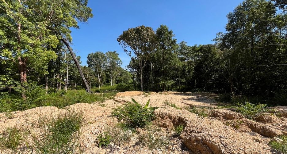 For rent land in Mueang Krabi, Krabi