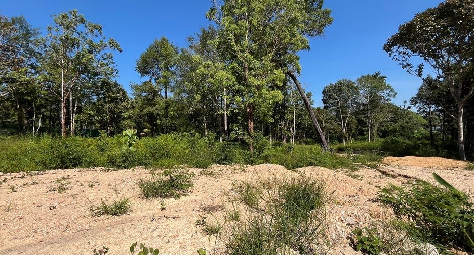 For rent land in Mueang Krabi, Krabi
