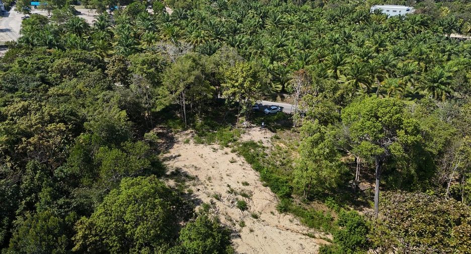 For rent land in Mueang Krabi, Krabi