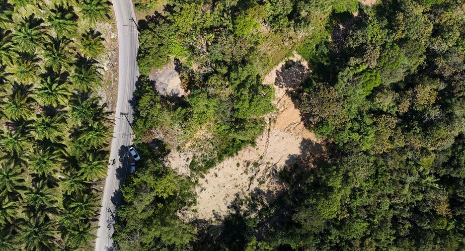 For rent land in Mueang Krabi, Krabi