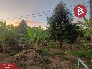 Grundstück zum Kauf in Na Yai Am, Chanthaburi
