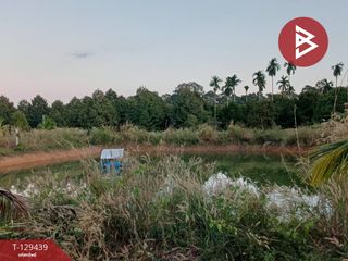 Grundstück zum Kauf in Na Yai Am, Chanthaburi