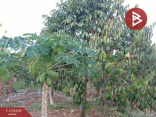 Grundstück zum Kauf in Na Yai Am, Chanthaburi