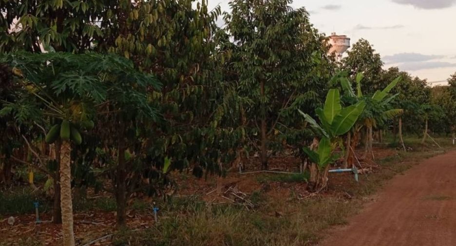 Terreno en venta en Na Yai Am, Chanthaburi