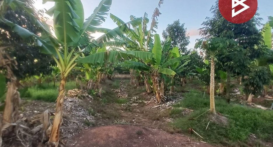 Terreno en venta en Na Yai Am, Chanthaburi