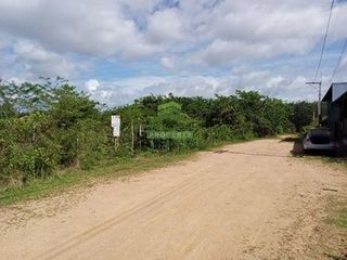 Продажа Участок в Bang Klam, Songkhla