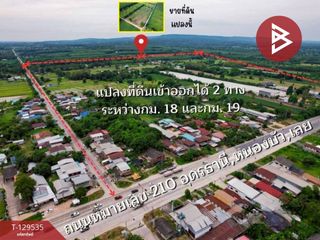 For sale land in Mueang Chaiyaphum, Chaiyaphum