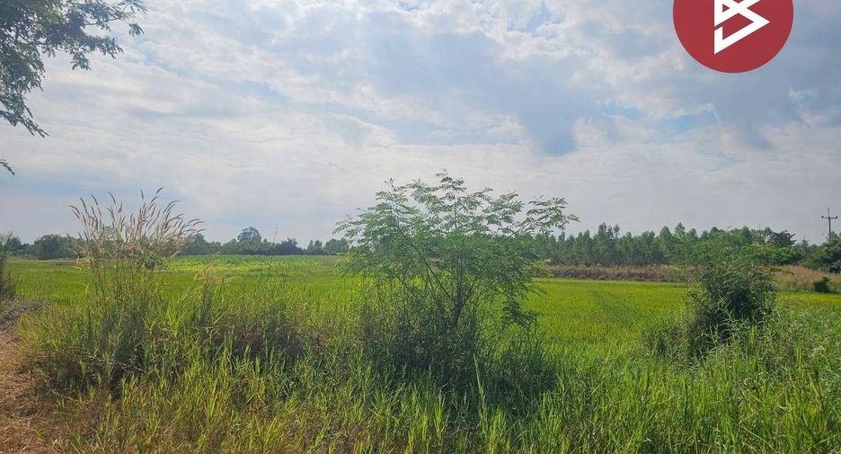 出售 土地 在 Khanu Woralaksaburi, Kamphaeng Phet