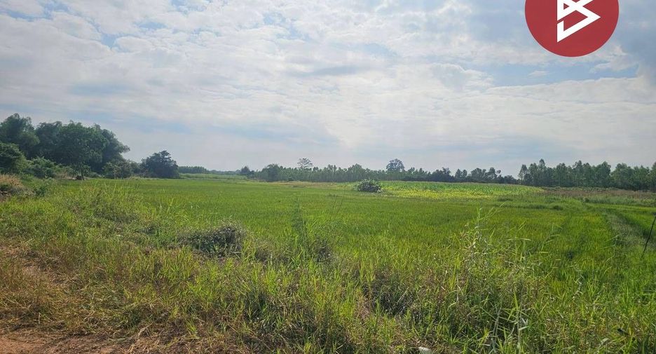 出售 土地 在 Khanu Woralaksaburi, Kamphaeng Phet