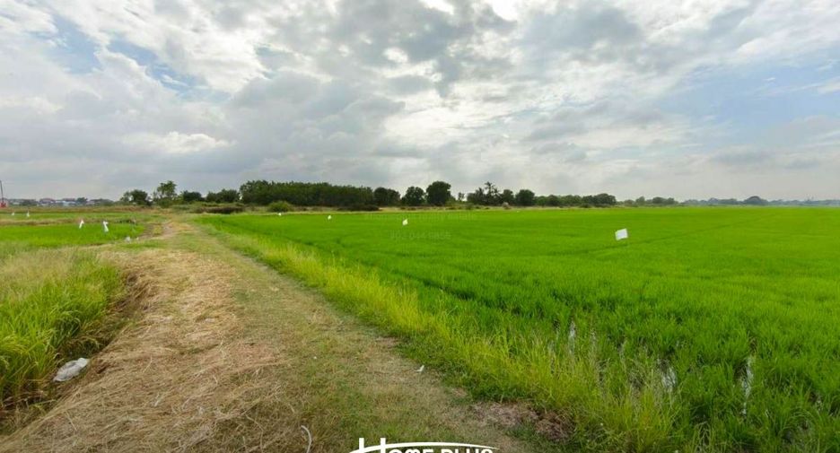 For sale land in Lam Luk Ka, Pathum Thani