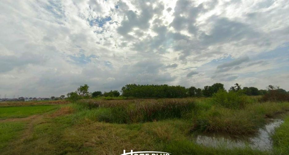 For sale land in Lam Luk Ka, Pathum Thani