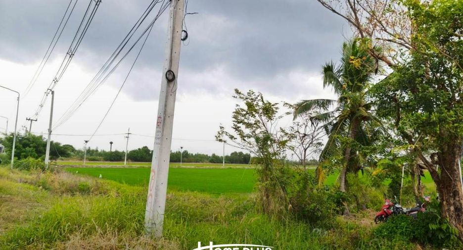 For sale land in Lam Luk Ka, Pathum Thani