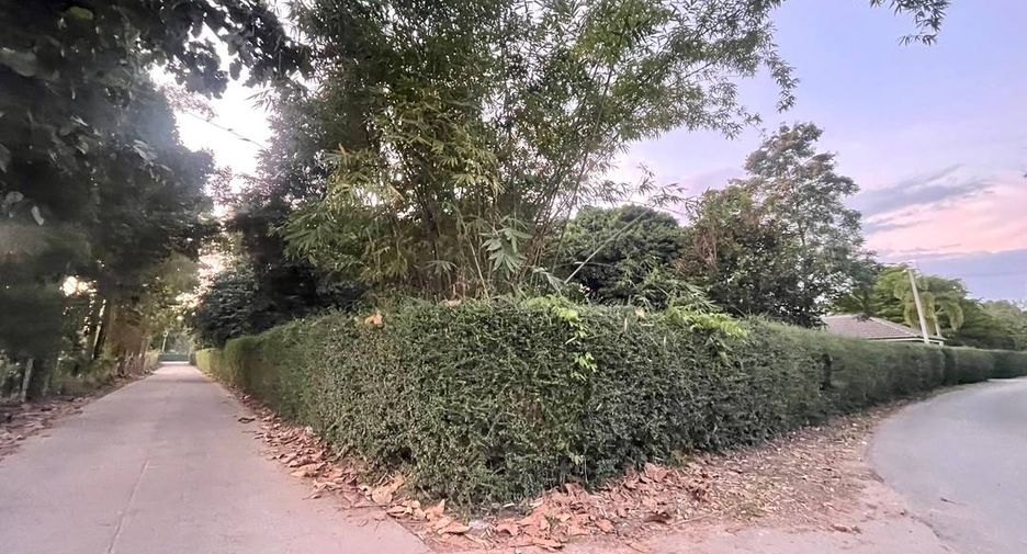 Grundstück zum Kauf in Hang Dong, Chiang Mai