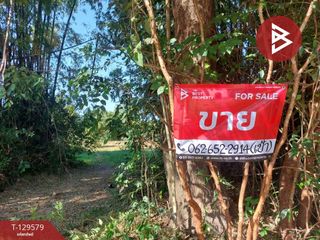 出售 土地 在 Mueang Udon Thani, Udon Thani