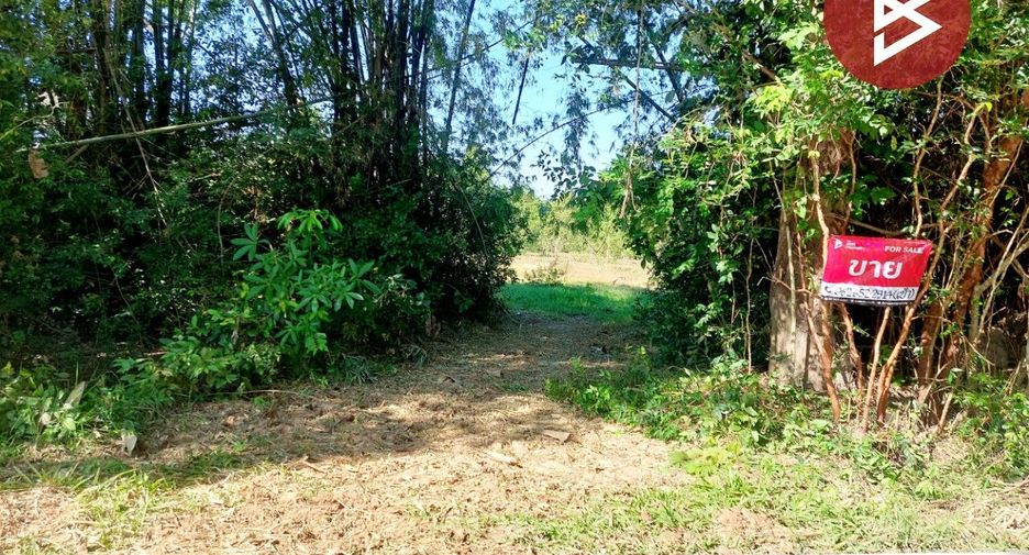 For sale land in Mueang Udon Thani, Udon Thani