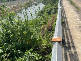 For sale land in Ban Lat, Phetchaburi