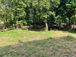 For sale land in Ban Lat, Phetchaburi