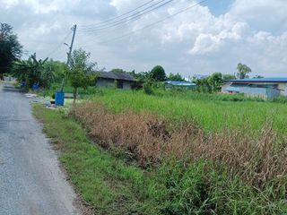ขาย ที่ดิน ใน นครชัยศรี, นครปฐม