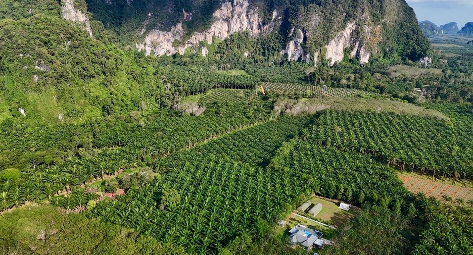 Grundstück zum Kauf in Mueang Krabi, Krabi